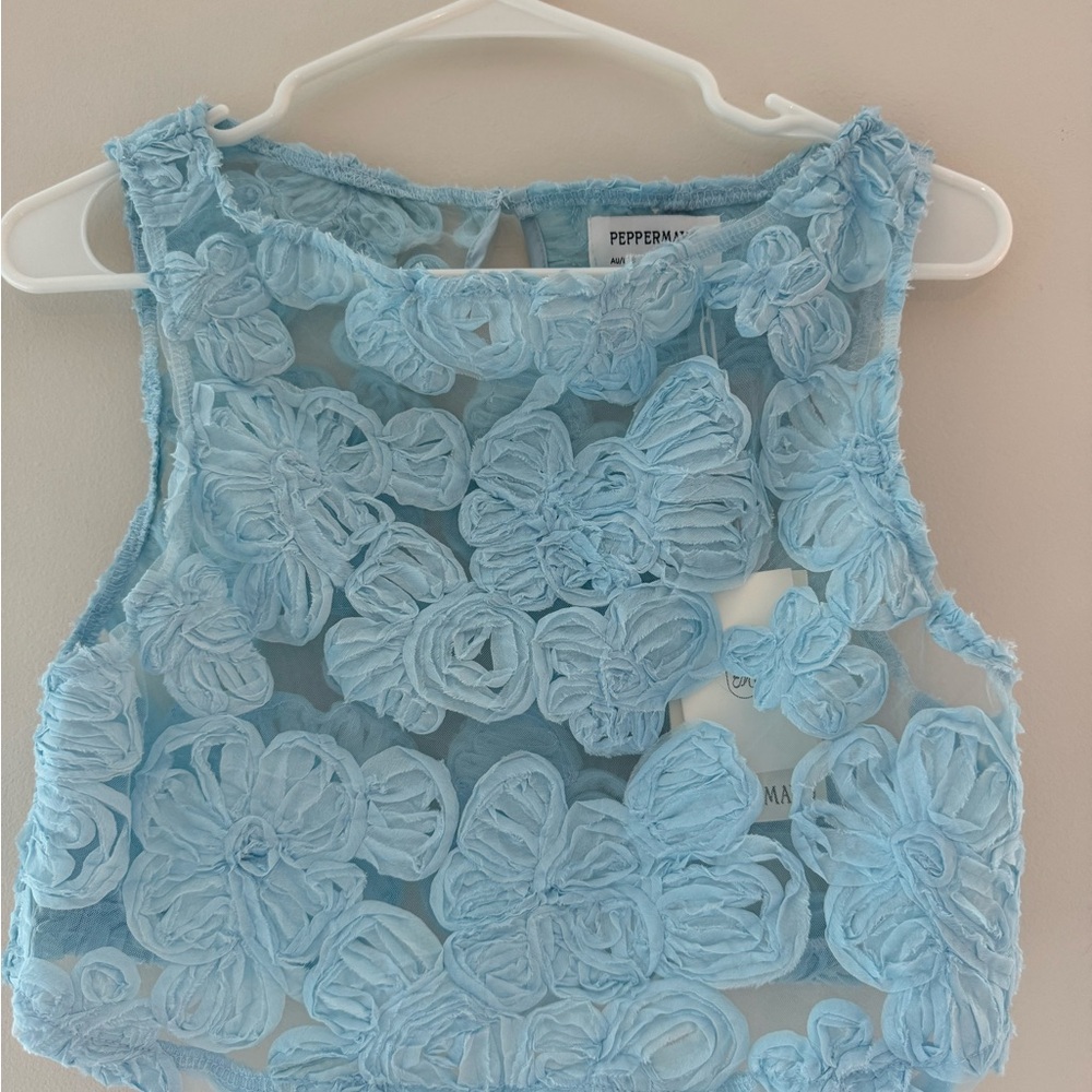 Peppermayo Fiorella Blue Floral Sheer Top only